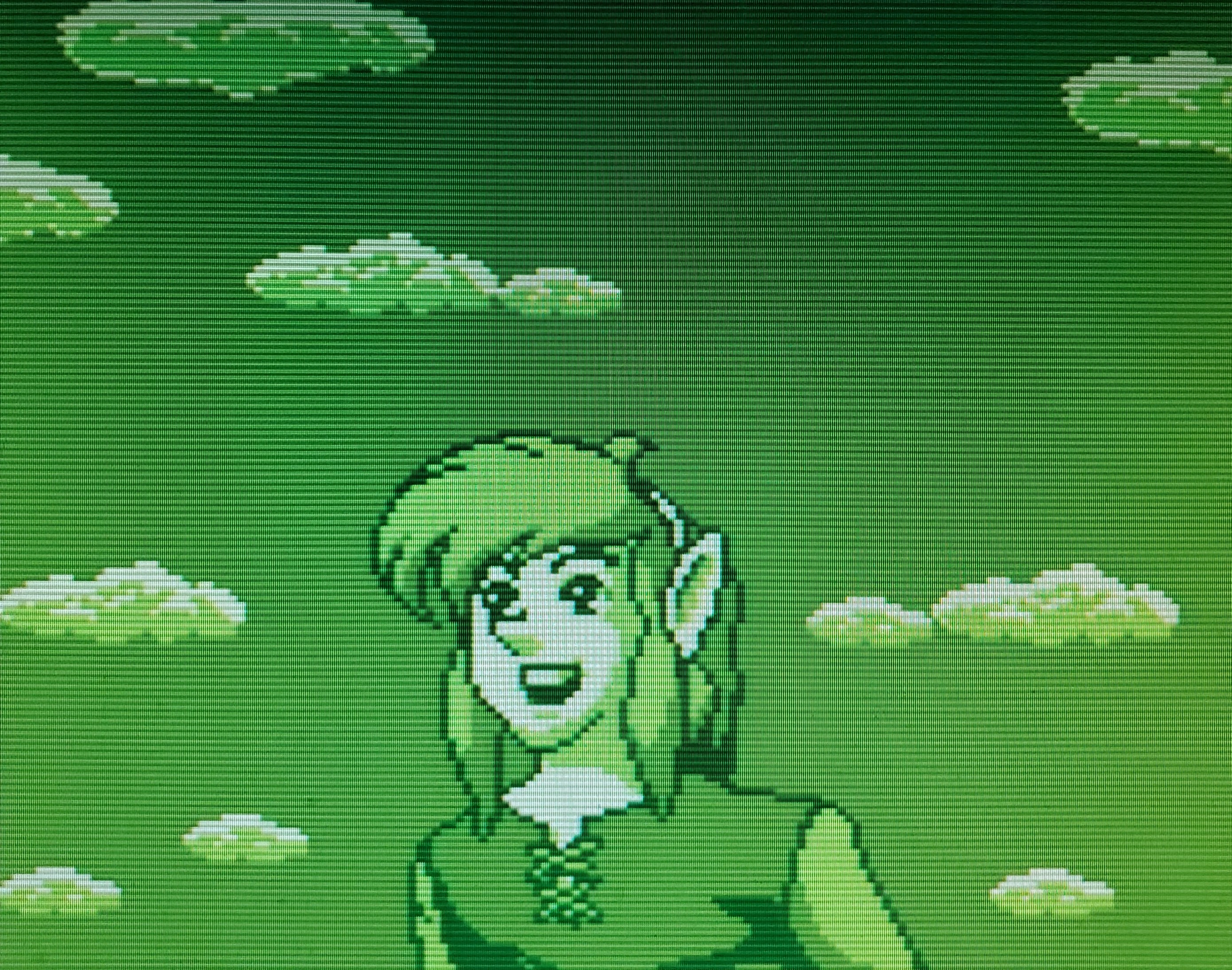The Legend of Zelda: Link's Awakening DX - Part 1 - A Hero
